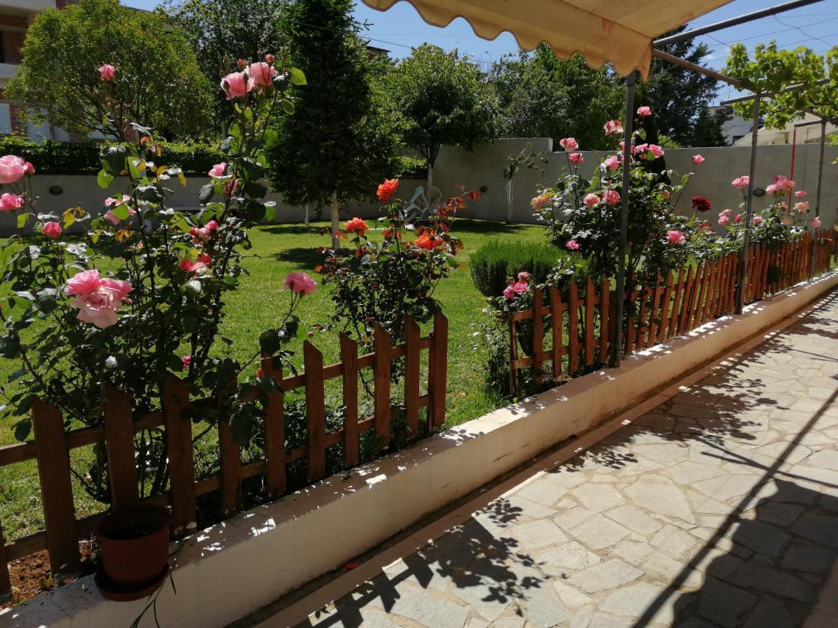 شقة New Loft Polixeni يانينة المظهر الخارجي الصورة
